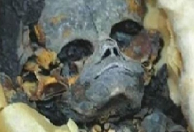 Инопланетный скелет в египетской гробнице