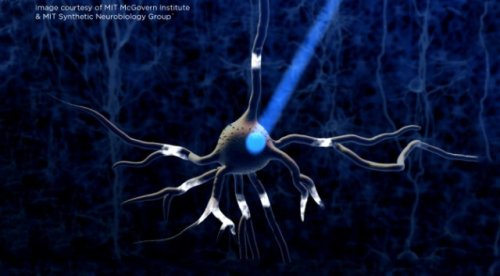 Ученые, с помощью беспроводного «роутера», научились управлять клетками головного мозга